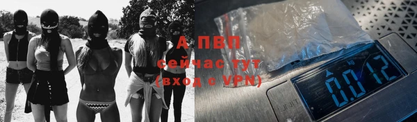 сатива Абинск