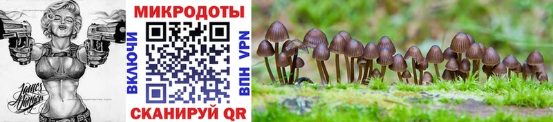 даркнет сайт  Юрга  Псилоцибиновые грибы Magic Shrooms 